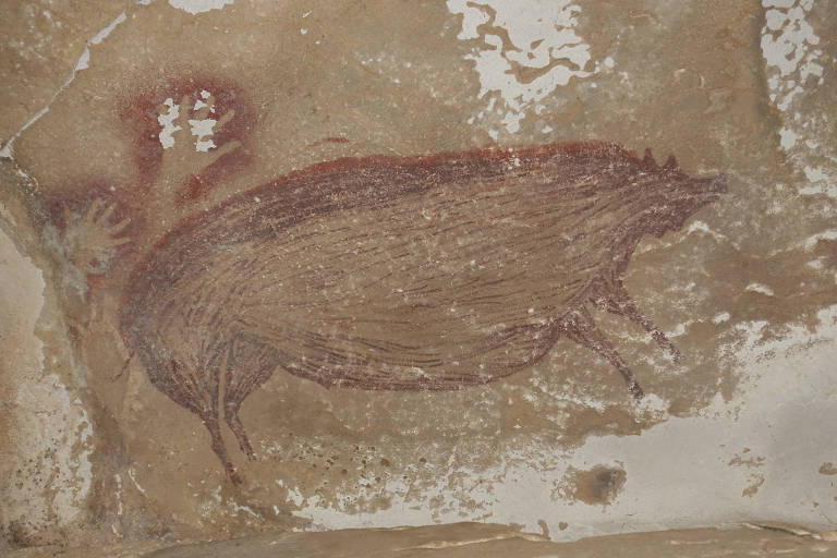 Desenho de porco-selvagem em caverna na Indonésia é o mais antigo feito por seres humanos