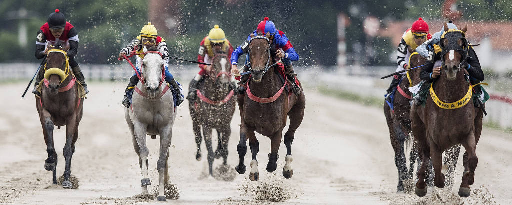 Corrida no Jockey Club de São Paulo no sábado (23): hipódromo faz 80 anos nesta segunda (25)