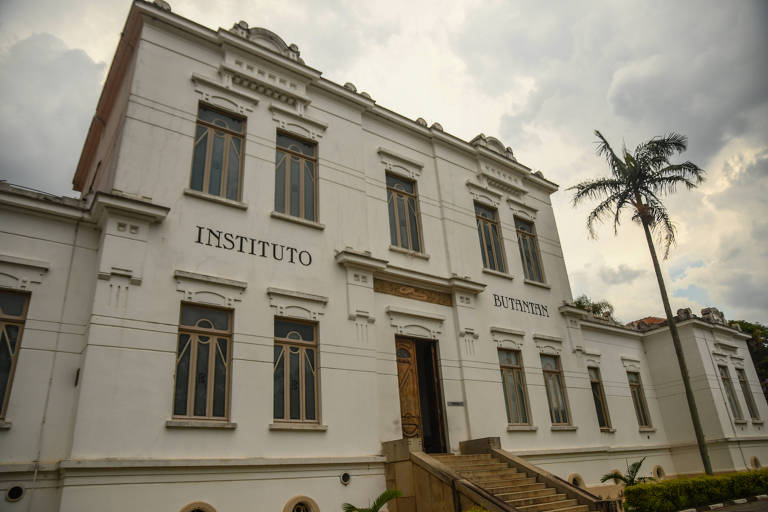 A história do Instituto Butantan