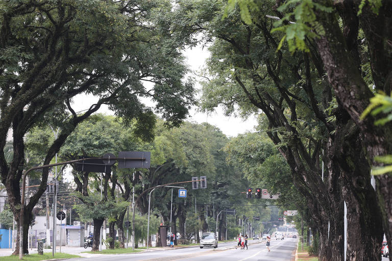 Temperatura deve cair a partir de quinta (31) em São Paulo