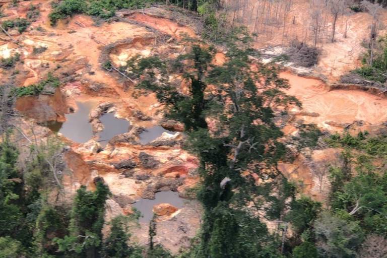 Bancada do PSOL pede ao MPF proteção urgente à comunidade yanomami atacada em Roraima