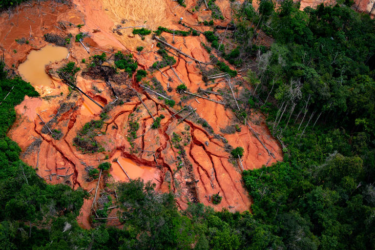 Roraima enfrenta garimpo ilegal e avanço desordenado do agronegócio