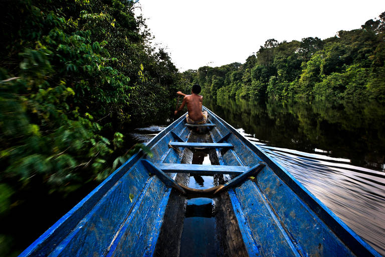 Projetos de desenvolvimento sustentável da Amazônia são escolhidos para investimento