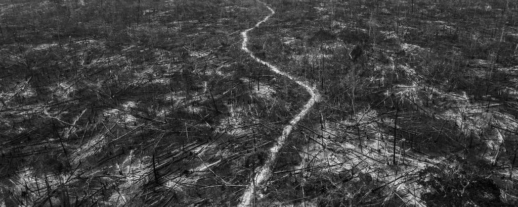 Área de floresta devastada na região de Apuí, município localizado ao longo da rodovia Transamazônica, no sul do estado do Amazonas 