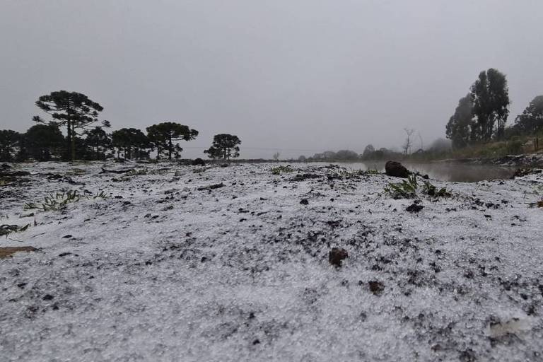 São Joaquim (SC) registra primeira neve de 2021; semana deve ser a mais fria do ano