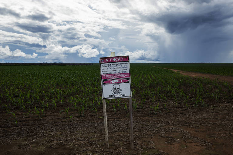 placa mostra alerta sobre uso de agrotóxico em plantação, visível em segundo plano.