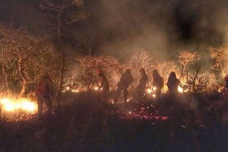 Por que a caatinga vive explosão em número de queimadas