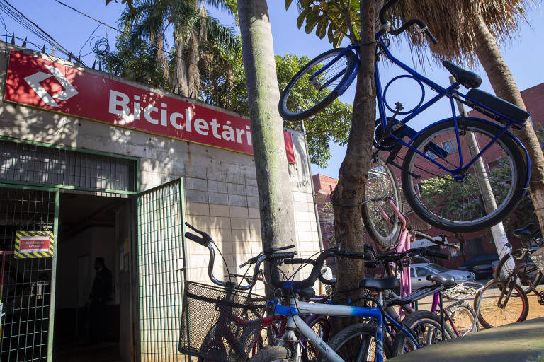 Falta de vaga em bicicletário da CPTM transforma até árvore em paraciclo em SP