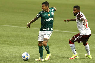 Brasileiro Championship - Palmeiras v Flamengo