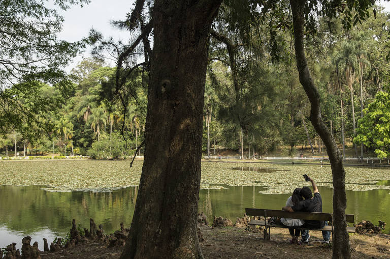 Parque Horto Florestal, localizado na zona norte de SP, reúne áreas de lazer, lagos e bicas