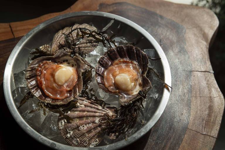 Das nadadeiras ao sangue, chefs aproveitam tudo dos peixes no cardápio