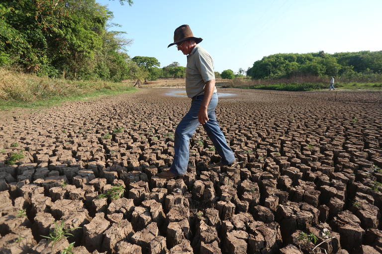 Seca freia negócios e muda paisagem no campo