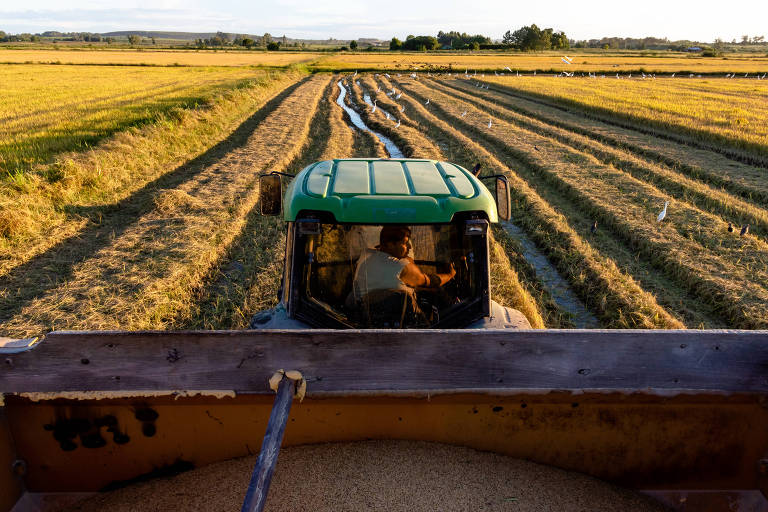 Controversa, agricultura familiar abastece boa parte do Brasil