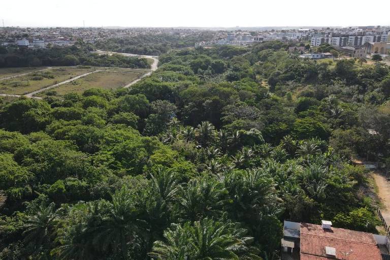 Mulher é encontrada com vida em mata de João Pessoa após 4 dias de sumiço