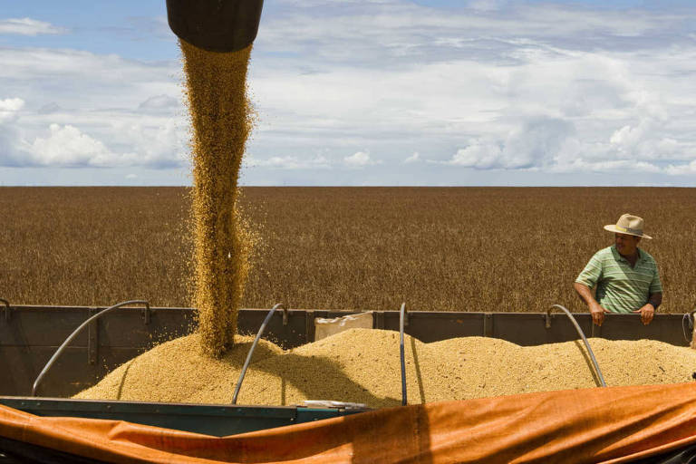 Dez municípios têm 9% de todo o valor da produção agrícola brasileira