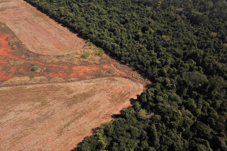 Do lado direito, grande tapete de mata; à esquerda, área desmatada, com uma entrada em V na área de mata