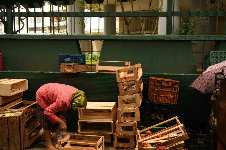 ONG de colheita urbana de alimentos cria plataforma para acompanhar doações