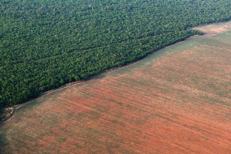 Desmatamento na Amazônia tem crescido desde o início do governo Jair Bolsonaro