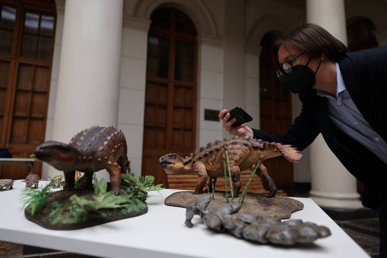 Homem fotografa duas mostras de dinossauros que estão colocados sobre uma mesa