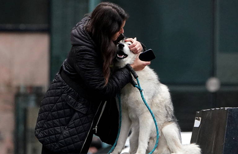 Neve na Letônia e campanha de adoção na Rússia; veja pets pelo mundo