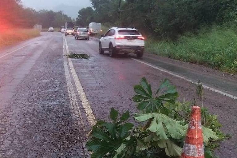 Buracos e corte de verba para rodovia em SC geram críticas em reduto de Bolsonaro