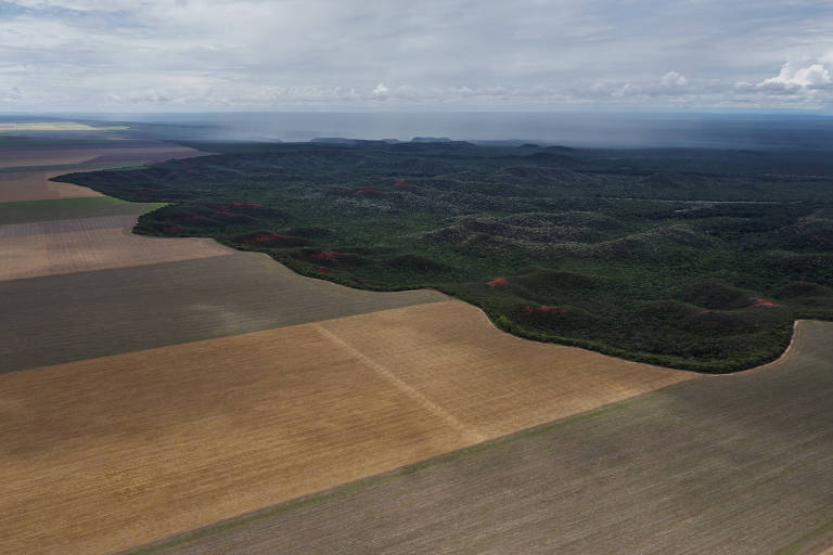 Futuros de trigo, soja e milho nos EUA ampliam alta com volatilidade climática global