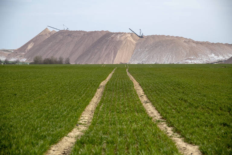 Mercado de fertilizantes pode agravar disputa geopolítica no Leste Europeu