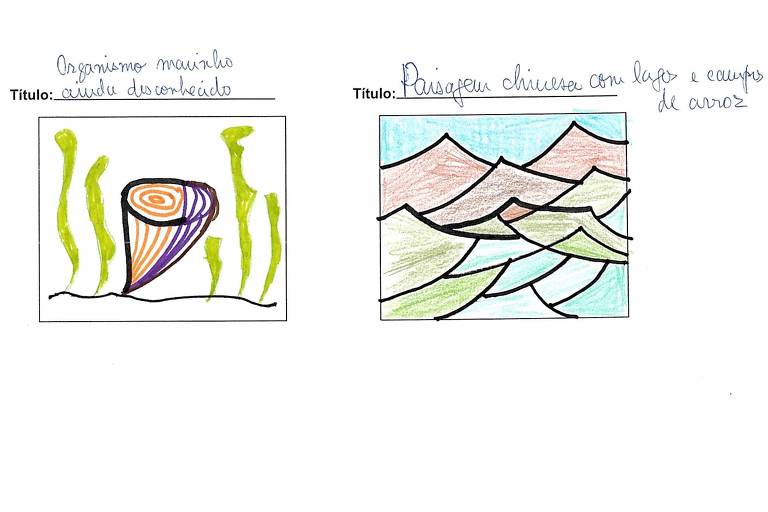 Dois retângulos contendo desenhos coloridos, o primeiro com cone listrado de laranja e roxo ladeado por filamentos verdes, intitulado "Organismo marinho ainda desconhecido", e o segundo uma série de picos marrons, azuis e verdes, intitulado "Paisagem chinesa com lagos e campos de arroz"