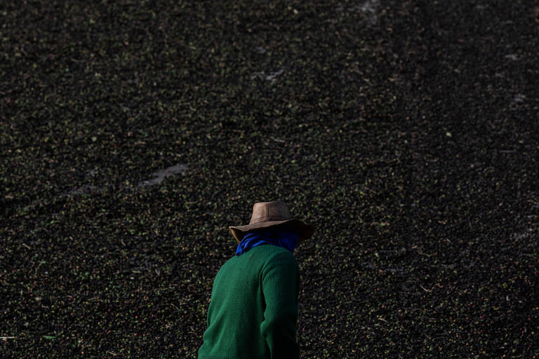 Escravidão forjou o Brasil como país do café, e setor segue excludente 200 anos depois