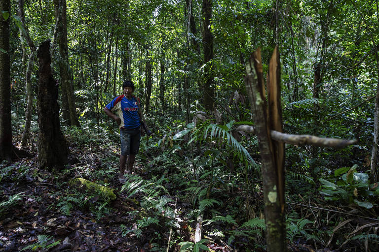 Guerreiro Xikrin observa marcação de lote feita por invasores no interior da terra indígena Trincheira Bacajá, no Pará