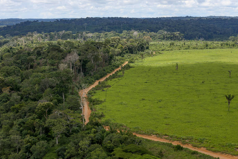 Como o dinheiro do Fundo Amazônia está sendo usado?