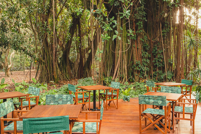 Conheça o Selvagem, no parque Ibirapuera