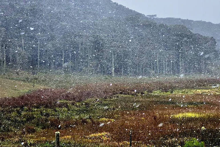 Primeiros registros de neve A cerca de 15km do centro de São Joaquim, no inicio da manha desta terça (17) com pequenos flocos caindo do céu