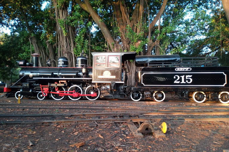 Duas locomotivas fabricadas há 110 anos voltam juntas aos trilhos em SP