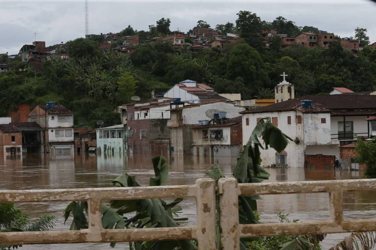 Os shows, as prefeituras e os embaixadores da miséria