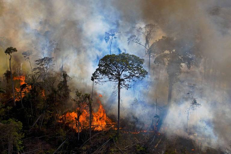 O futuro dos biomas brasileiros, como a floresta amazônica, é uma das discussões principais nas eleições deste ano
