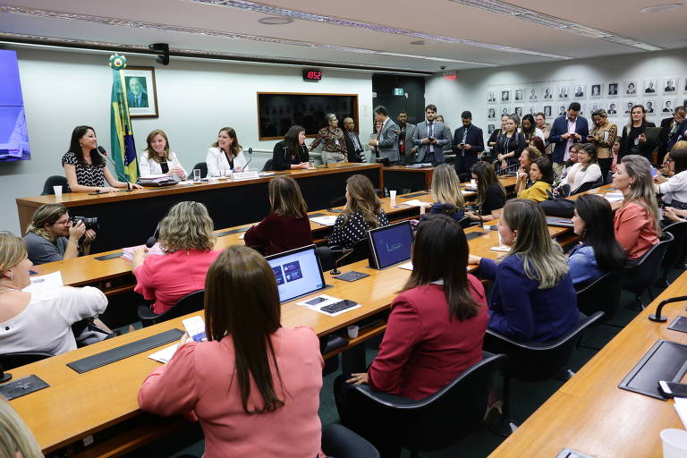 PT e PL elegem mais mulheres para a Câmara e bancada será polarizada