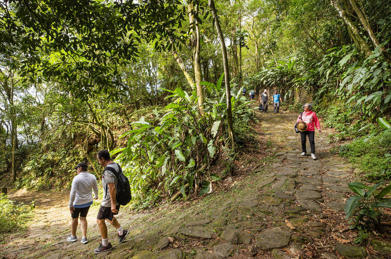 Conheça a Calçada do Lorena e os pontos históricos da Estrada Velha de Santos