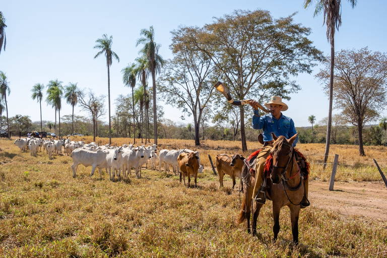 Pantanal terá rota para turistas que querem passear e comer bem