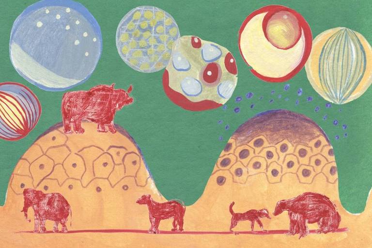 Arte ilustra duas formas que lembram tanto morros quanto seios femininos, nos quais estão desenhados células. EM cima, formas redondas lembram outras células e, ao mesmo tempo, planetas. Também há animais em cima dos morros e na sua base, como vacas e elefantes.