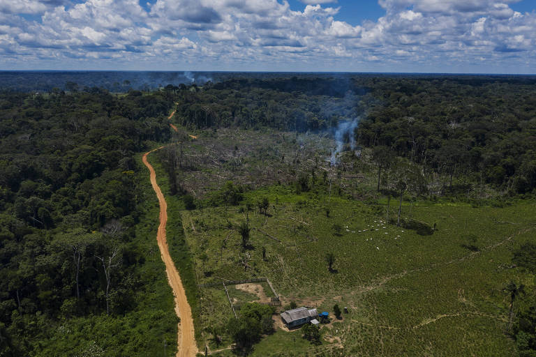 Vista aérea de área sem árvores, apenas com pasto e uma casa ao lado de uma estrada de terra