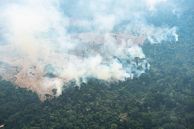 Vista aérea de floresta queimando, com densa fumaça subindo