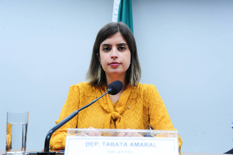 Tabata Amaral durante audiência na Câmara
