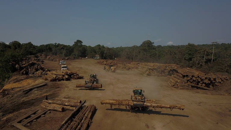 Restauração de florestas como política de Estado
