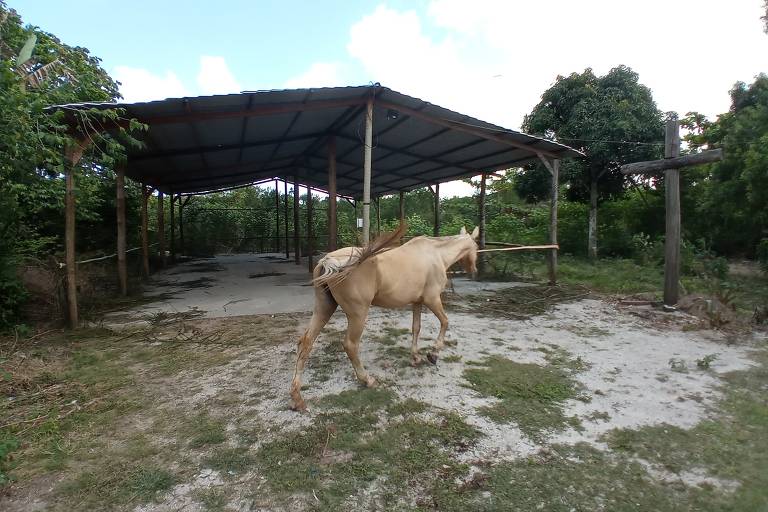 Comunidade Bananeiras em Iha de Maré (BA)