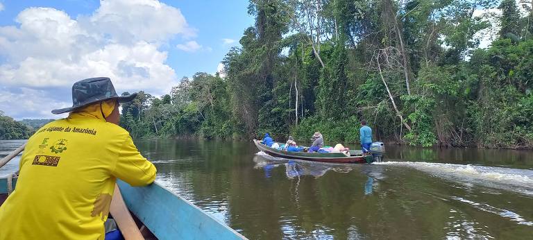 Expedição encontra árvore mais alta da Amazônia