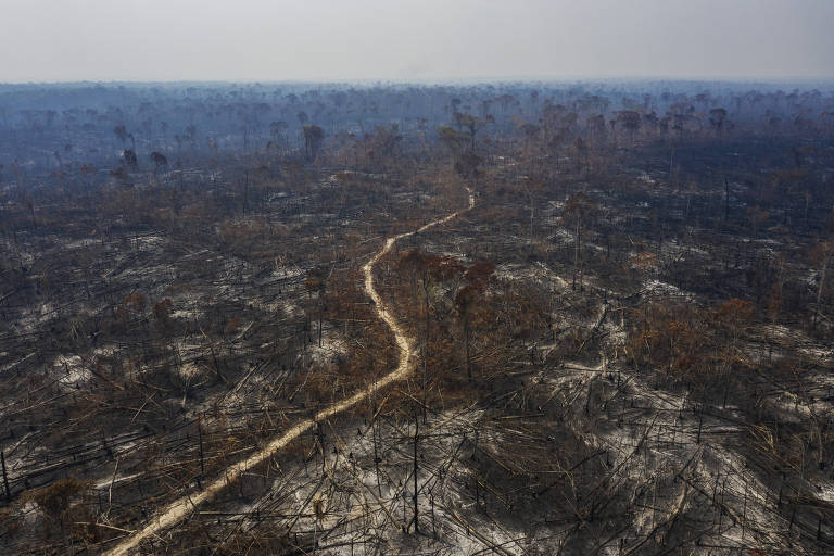 Depois da COP27