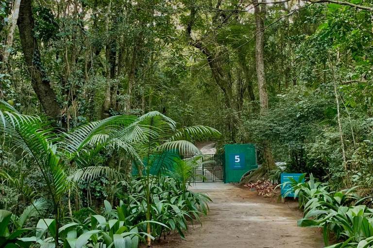 Parque da Cantareira, na zona norte de São Paulo, após concessão