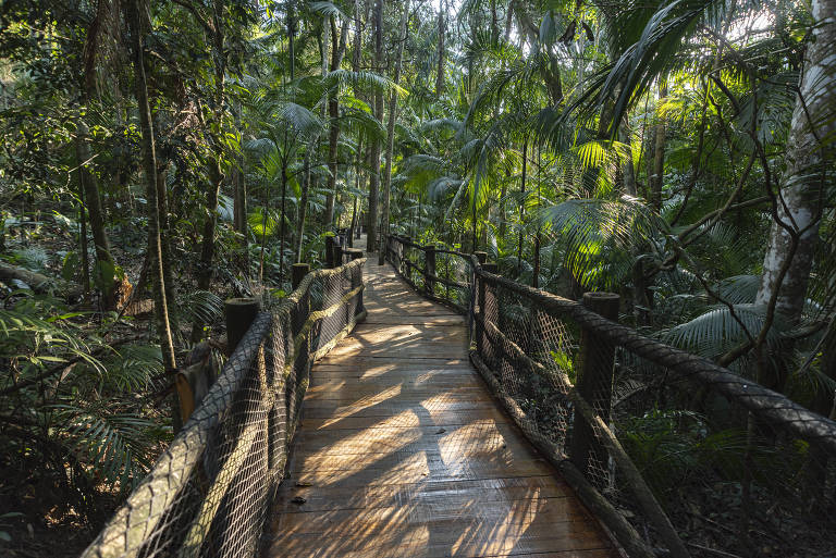 Jardim Botânico, na zona sul de São Paulo, após concessão