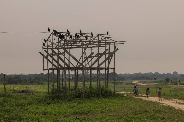 Desmatamento, fogo e grilagem cercam indígenas isolados no sul do Amazonas